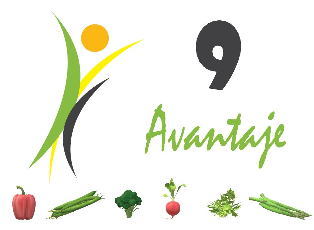 9 Avantaje Să Comanzi Mâncarea De La FitFoodWay
